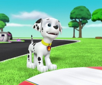 Replay Paw Patrol, la Pat'Patrouille - L'aigle à la patte ficelée