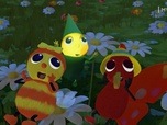 Replay Drôles de petites bêtes - S01 E14 - Qui a peur du noir ?