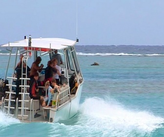 Replay Moorea, l'île aux requins citrons