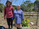 Replay Amazonie, nourrir le lien à la terre - 360° Reportage