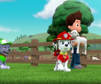 Replay Paw Patrol, la Pat'Patrouille - Un costume sur mesure
