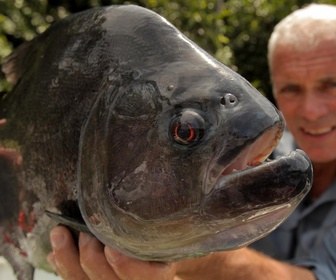 Replay River monsters - S5E6 - Le dévoreur de visage