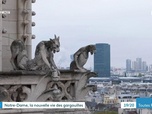 Replay Les dossiers d'ICI - Notre-Dame, la nouvelle vie des gargouilles