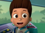Replay Paw Patrol, la Pat'Patrouille - Le bébé éléphant