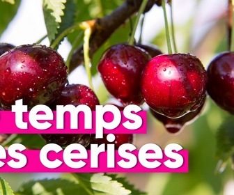 Replay Top Info - Pourquoi Intermarché ne vend plus de fraises ni de cerises en hiver ?