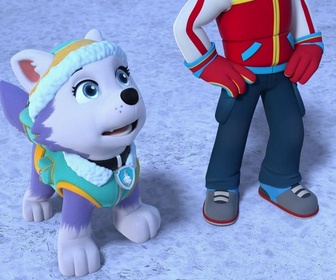 Replay Paw Patrol, la Pat'Patrouille - L'inauguration de la serre