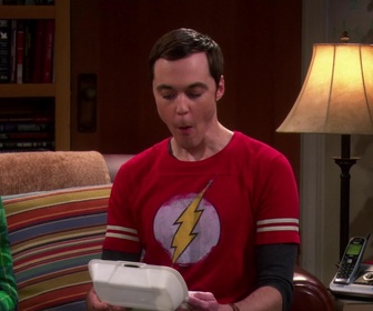 Replay The Big Bang Theory - S4E21 - Dissection du contrat de location