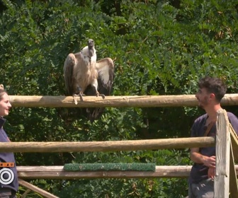 Replay Une saison au zoo - S14 E30