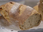 Replay Paysans du monde - Bretagne : Pain