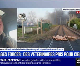 Replay Apolline de 9 à 10 - Abattages de bovins: On a perdu le crédit du discours scientifique, déclare le président de la fédération des syndicats vétérinaires de France