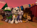 Replay Paw Patrol, la Pat'Patrouille - Sauvetage extrême : comète en vue