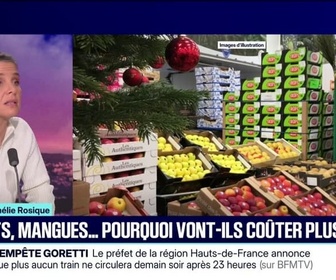 Replay 20H BFM - LE CHOIX D'AMÉLIE - Avocats, mangues... Le gouvernement suspend l'importation de fruits et légumes traités avec des pesticides interdits