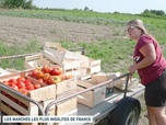 Replay Un jour, un doc - Les marchés les plus insolites de France