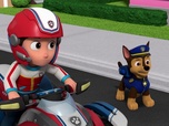 Replay Paw Patrol, la Pat'Patrouille - Le petit paresseux