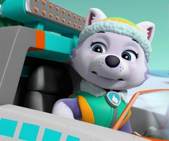 Replay Paw Patrol, la Pat'Patrouille - La Pat' Patrouille sauve un coucou