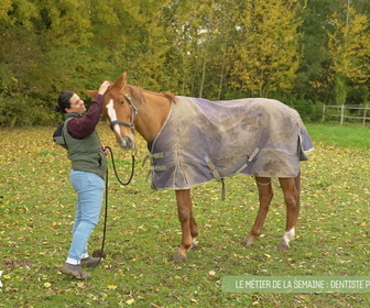 Replay L'hebdo des animaux - S1E4 - Episode 4