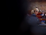 Replay Assemblée nationale, anatomie d'une crise