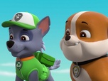 Replay Paw Patrol, la Pat'Patrouille - Un chaton dans la Pat'Patrouille