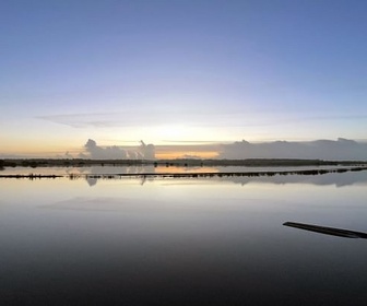 Replay Cotentin, des marais entre terre et mer - 360° Reportage