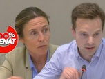 Replay 100% Sénat - Zones grises de l'information : audition de YouTube France