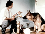 Replay Rex, chien flic - 14/07/2026