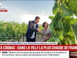 Replay BFM Première - Canicule: 43 degrés à Cognac, inquiétude pour les vignes qui subissent la chaleur