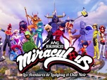 Replay Miraculous - Les aventures de Ladybug et Chat Noir - El Toro de Piedra