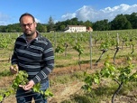 Replay Crise chez les vignerons bordelais - ARTE Regards