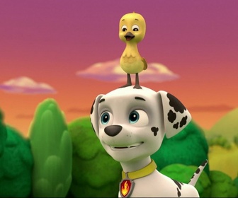 Replay Paw Patrol, la Pat'Patrouille - L'oison