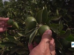 Replay Focus - L'Espagne, championne du recyclage des eaux usées