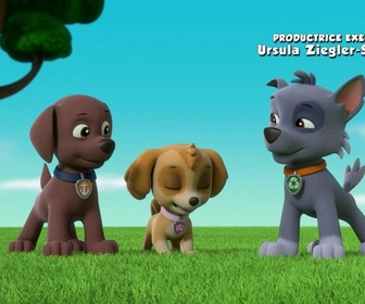 Replay Paw Patrol, la Pat'Patrouille - La Pat'Patrouille et le martien de l'Antarctique