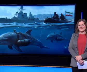 Replay Info ou intox - Des dauphins kamikazes iraniens bientôt déployés dans le détroit d'Ormuz ?