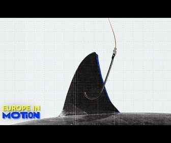 Replay Bruxelles envisage une interdiction totale du commerce d'ailerons de requin, en recul dans l'UE