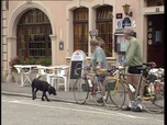 Replay La France aux 1000 villages - Le Bas Rhin