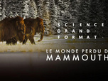 Replay Science grand format - Le monde perdu des mammouths