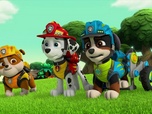 Replay Paw Patrol, la Pat'Patrouille - Mission Dino : Le réveil du volcan