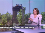 Replay Élément Terre, la quotidienne - UE-Mercosur: un accord au coût environnemental non négligeable