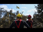 Replay Un incendie brûle 100 hectares près de Narbonne, en France
