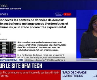 Replay Tech & Co, la quotidienne - À lire sur le site Tech&Co : Elle veut concevoir les centres de données de demain: une société australienne mélange puces électroniques et neurones humains, à un stade encore très expérimental, par