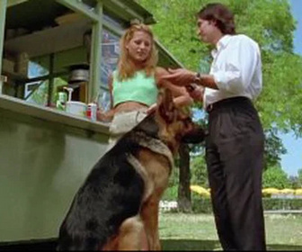 Rex, chien flic replay