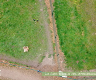 Replay L'hebdo des animaux - S1E15 - Episode 15