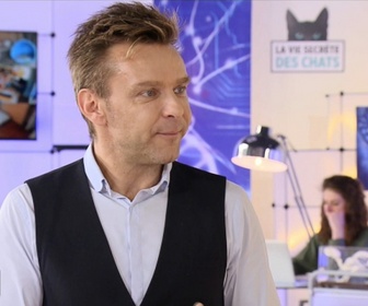 Replay La vie secrète des chats - S3E2 - Le chat et l'homme: l'union sacrée ? Avec Jeanfi Janssens
