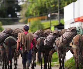 Replay Invitation au voyage - 31/03/2026 - En Colombie, vive la mule !