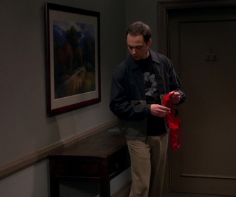 Replay The Big Bang Theory - S9E2 - L'oscillation de la séparation