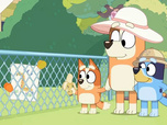 Replay Bluey - 14/10/2025
