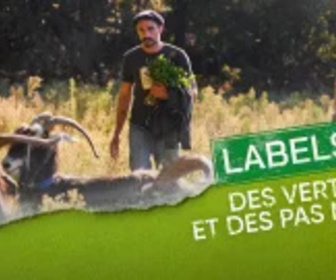 Replay Labels : des verts et des pas mûrs