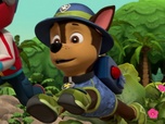 Replay Paw Patrol, la Pat'Patrouille - Une bulle dans la jungle