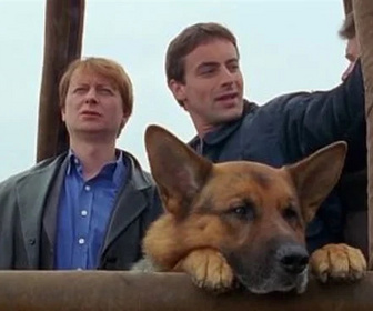 Replay Rex, chien flic - Le perdant