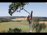 Replay Bûcheron, un métier à hauts risques - Au mépris du danger
