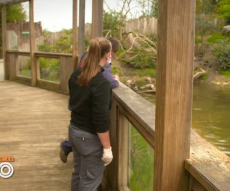 Replay Une saison au zoo - S13 E43